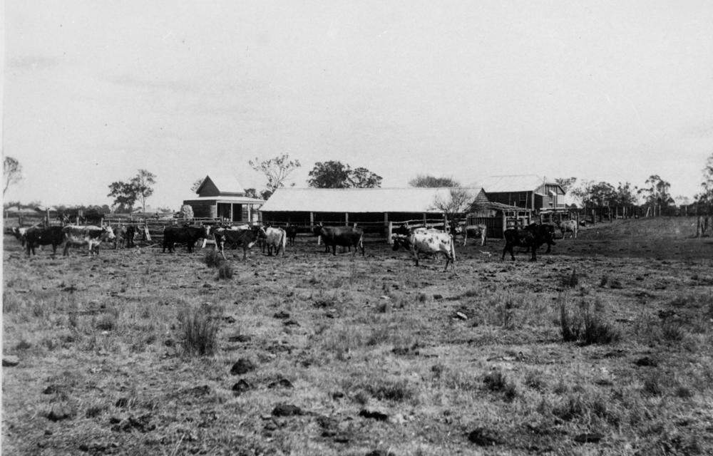 125 years ago in Coopers Plains, 10 February 1896