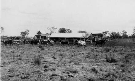 100 years ago in Coopers Plains, 1 February 1921
