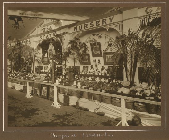 100 years ago in Sunnybank, 28 February 1921
