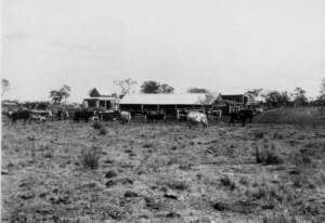 Boyland's Farm And Dairy At Coopers Plains, Brisbane